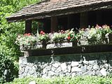 13 - Butchard Gardens  - IMGA0254